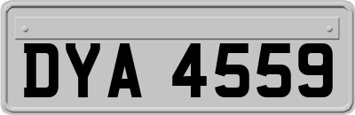 DYA4559