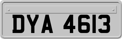 DYA4613