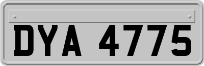 DYA4775