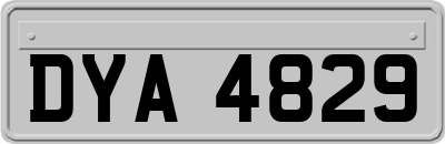 DYA4829