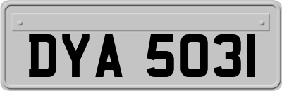 DYA5031