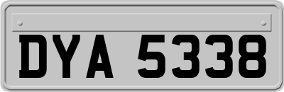 DYA5338