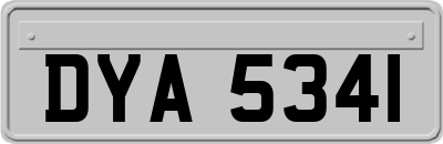 DYA5341