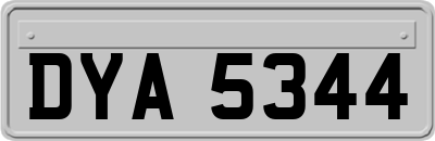 DYA5344