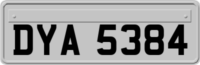 DYA5384