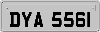 DYA5561