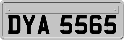DYA5565