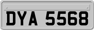 DYA5568