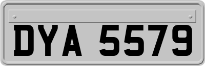 DYA5579