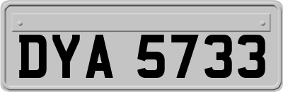 DYA5733