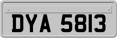 DYA5813
