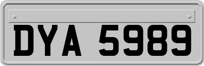 DYA5989