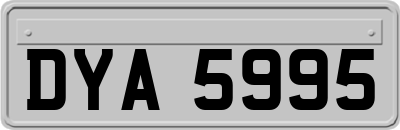 DYA5995