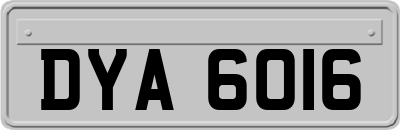 DYA6016