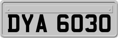 DYA6030