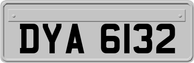 DYA6132