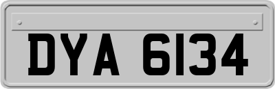 DYA6134