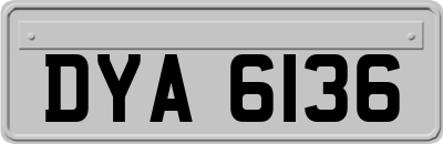 DYA6136