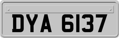 DYA6137