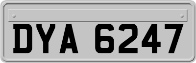 DYA6247