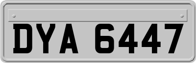DYA6447