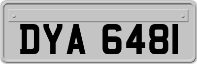DYA6481