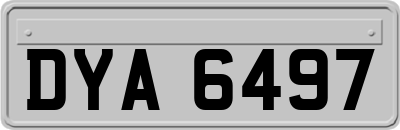 DYA6497