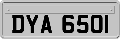 DYA6501