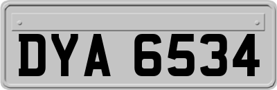 DYA6534
