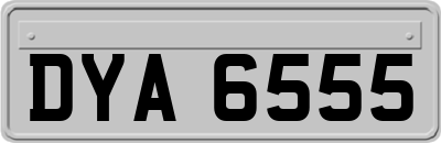DYA6555