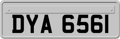 DYA6561
