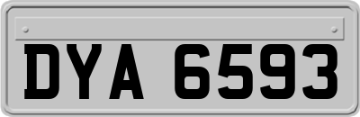 DYA6593
