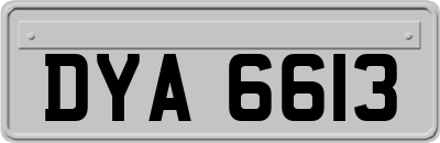DYA6613