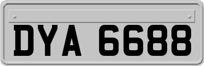 DYA6688