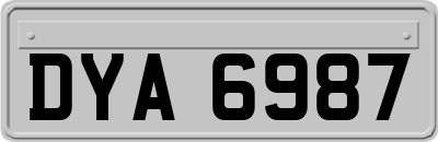 DYA6987