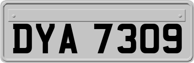 DYA7309