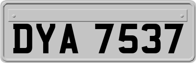DYA7537