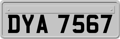 DYA7567