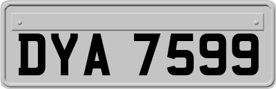 DYA7599