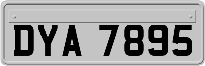 DYA7895