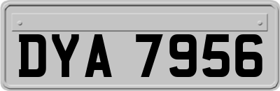 DYA7956
