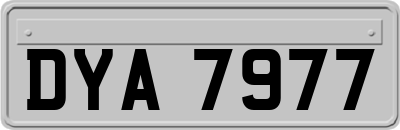 DYA7977