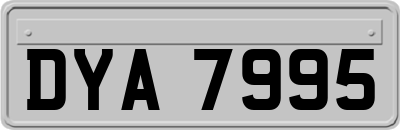 DYA7995