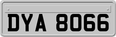 DYA8066