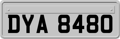 DYA8480