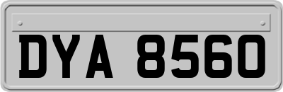 DYA8560