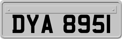 DYA8951
