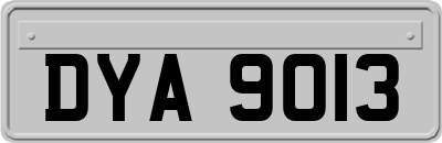 DYA9013