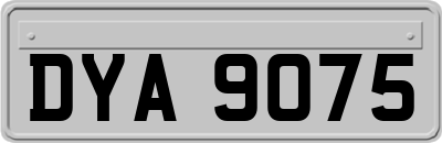 DYA9075