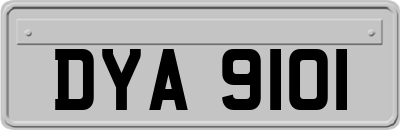 DYA9101